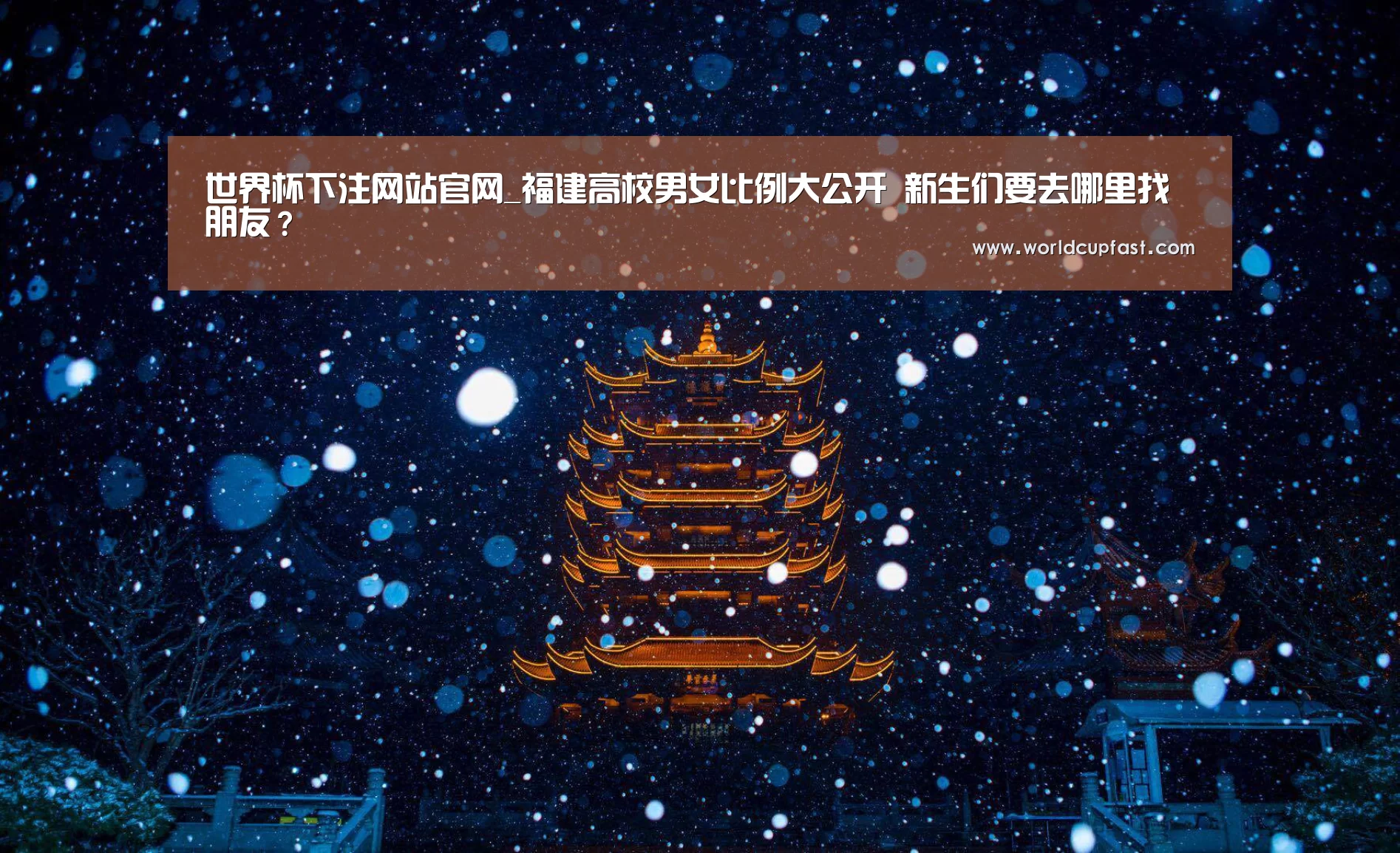 世界杯买球