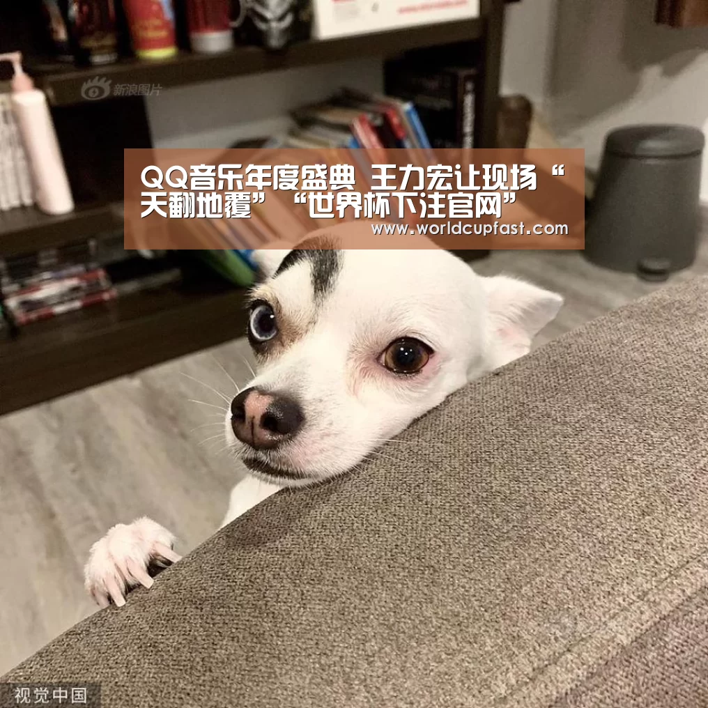 QQ音乐年度盛典 王力宏让现场“天翻地覆”“世界杯下注官网”(图1) 世界杯下注官网