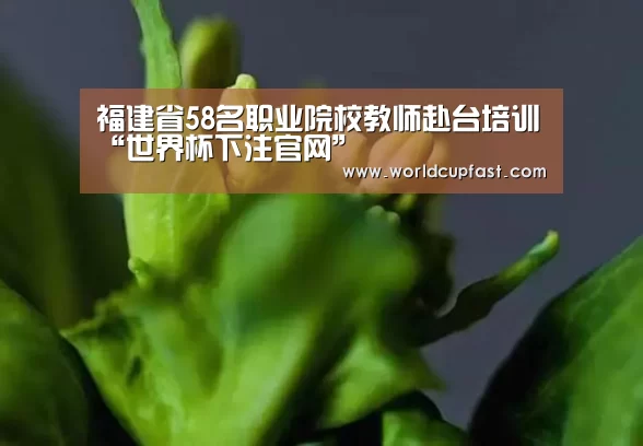福建省58名职业院校教师赴台培训“世界杯下注官网”(图1) 世界杯下注官网