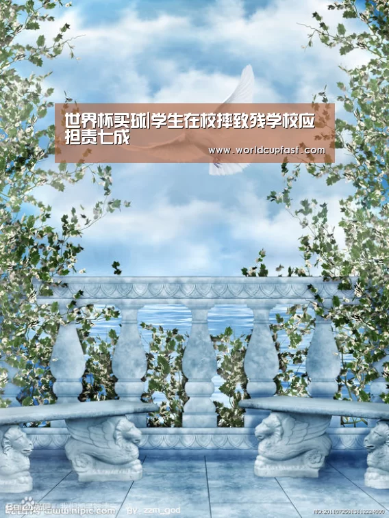 世界杯买球|学生在校摔致残学校应担责七成(图4) 世界杯下注网站官网