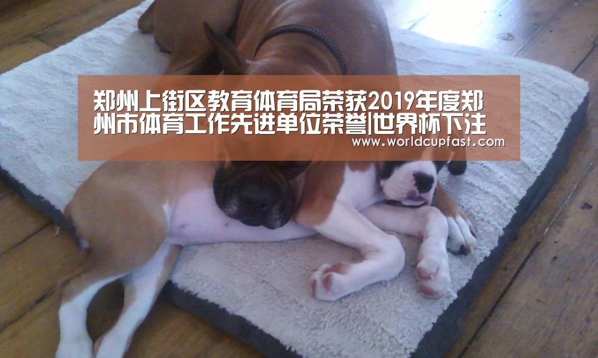 郑州上街区教育体育局荣获2019年度郑州市体育工作先进单位荣誉|世界杯下注网站(图3) 世界杯买球